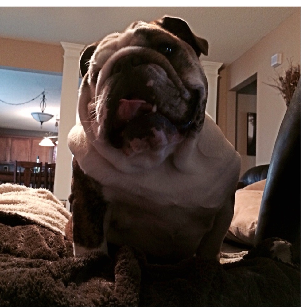 Meet your Posher, Erica